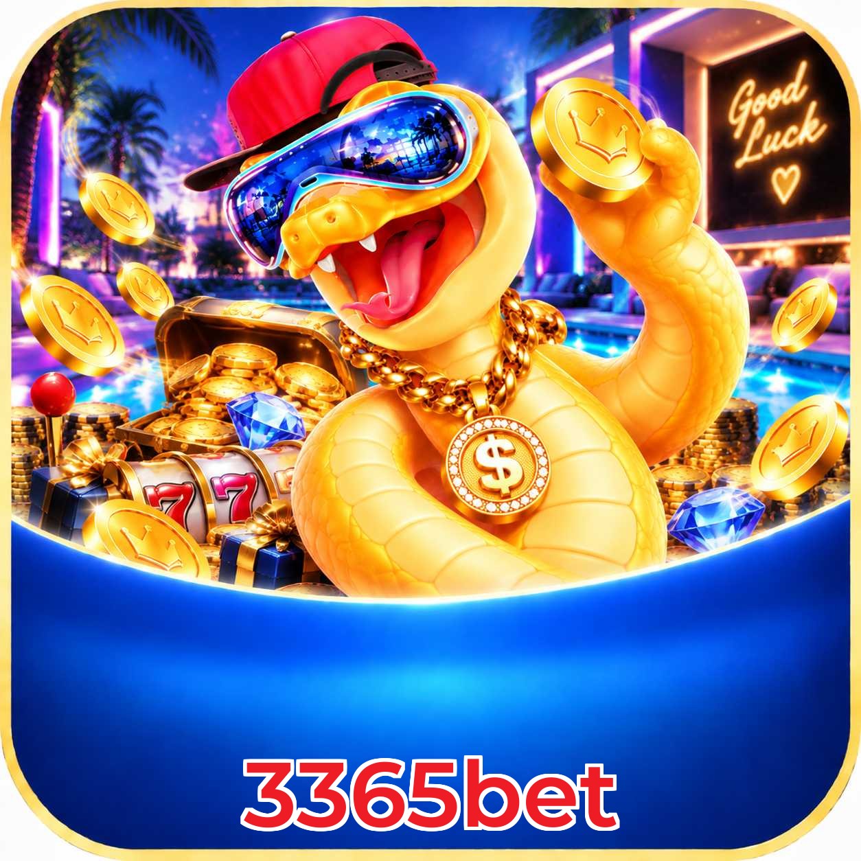 3365bet Final Verdict
