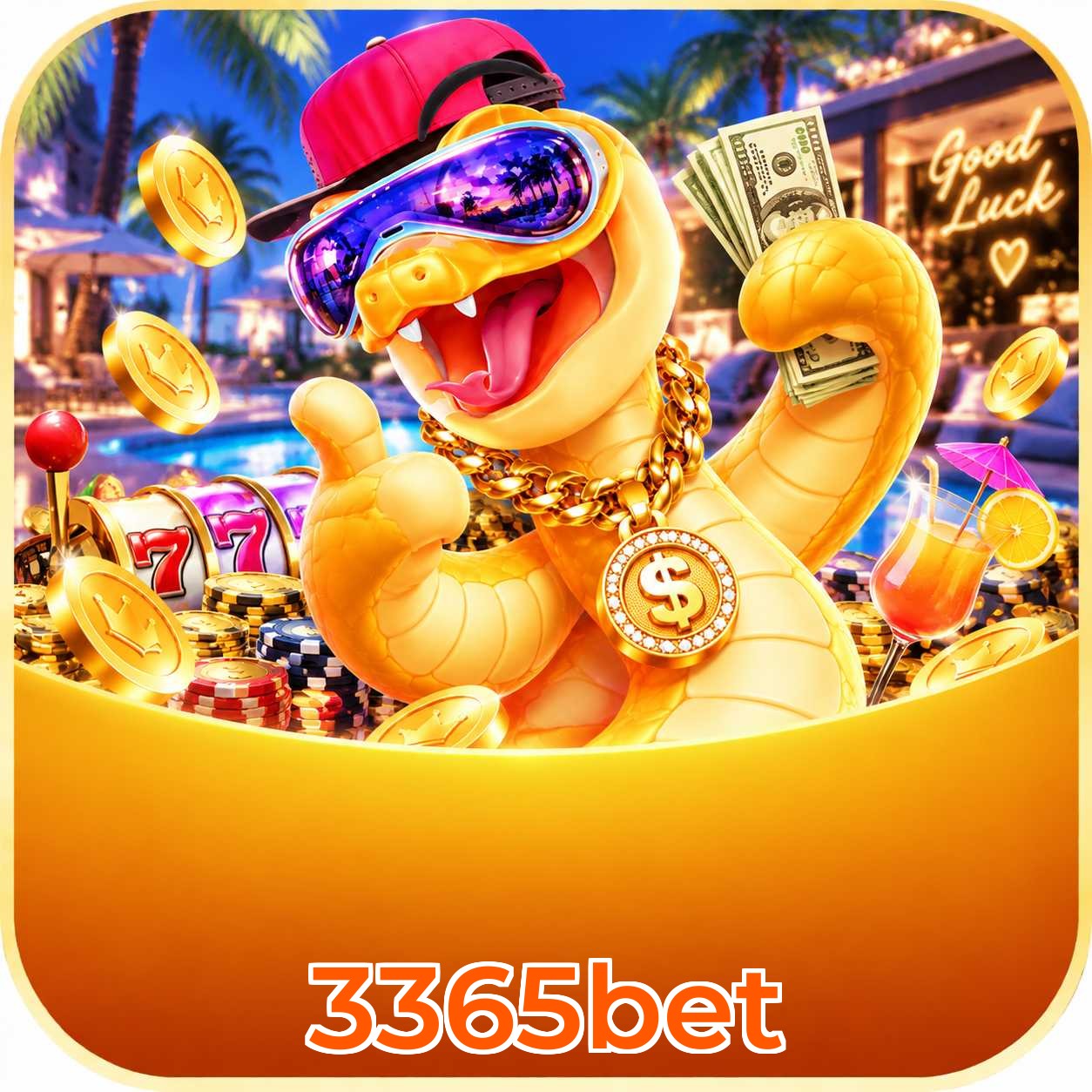 3365bet System Requirements